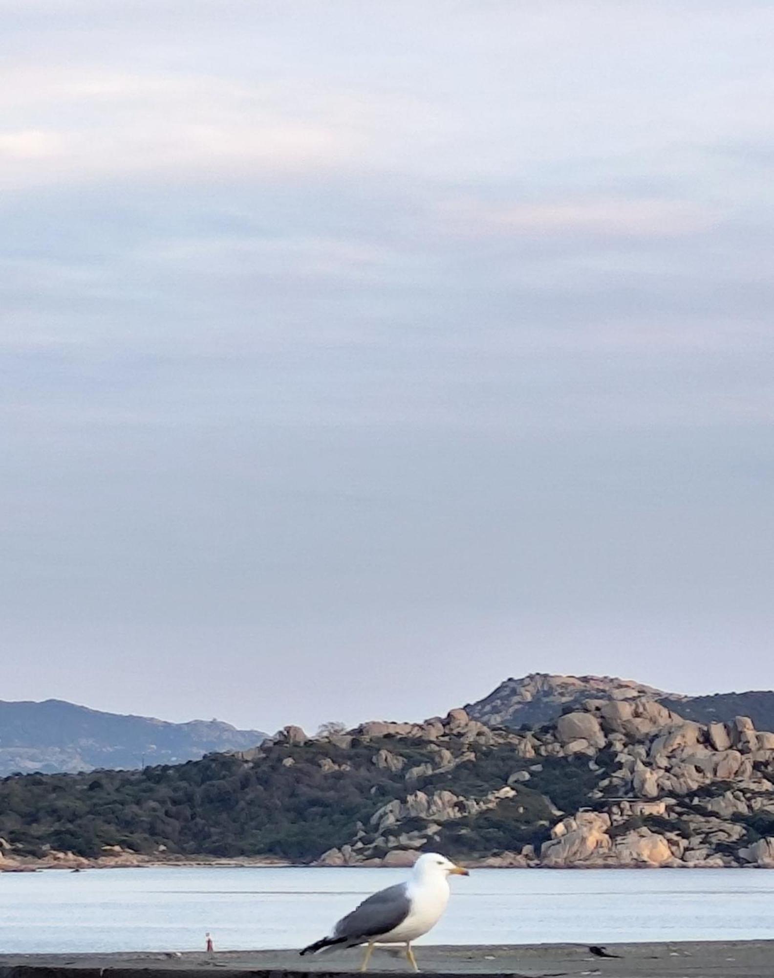 Soul Apartment La Maddalena Εξωτερικό φωτογραφία